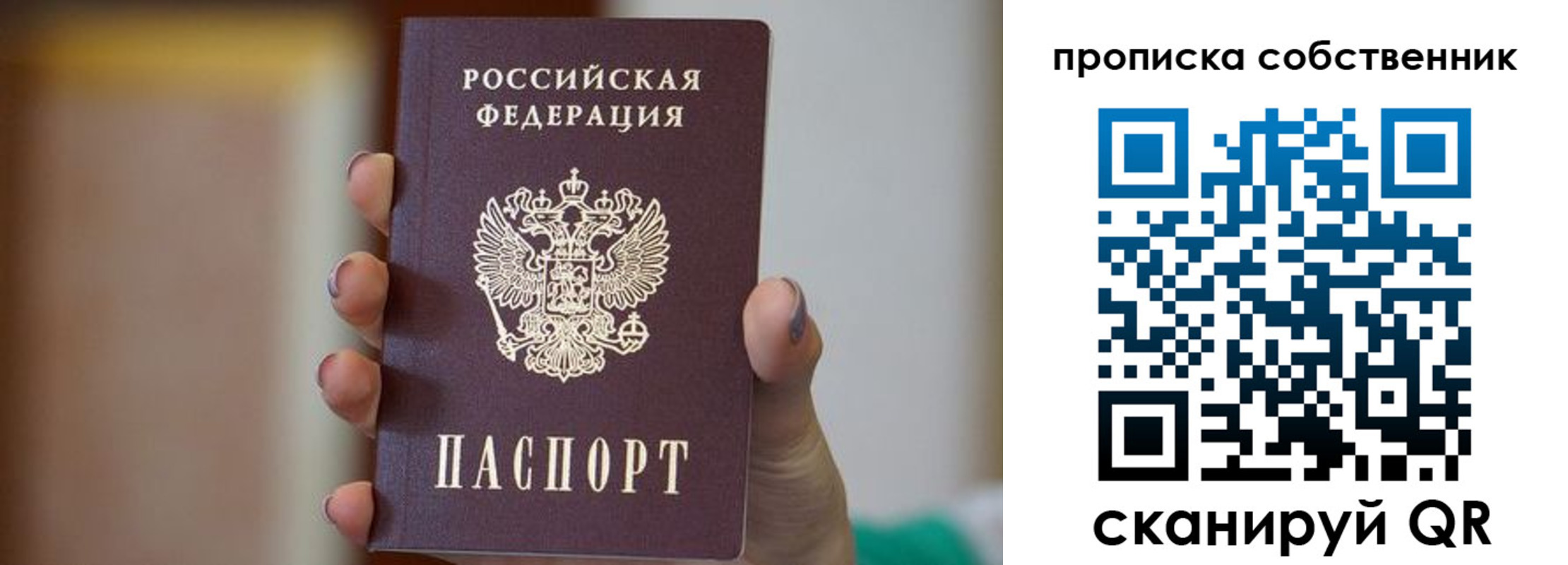 прописка поиск в Смоленской области